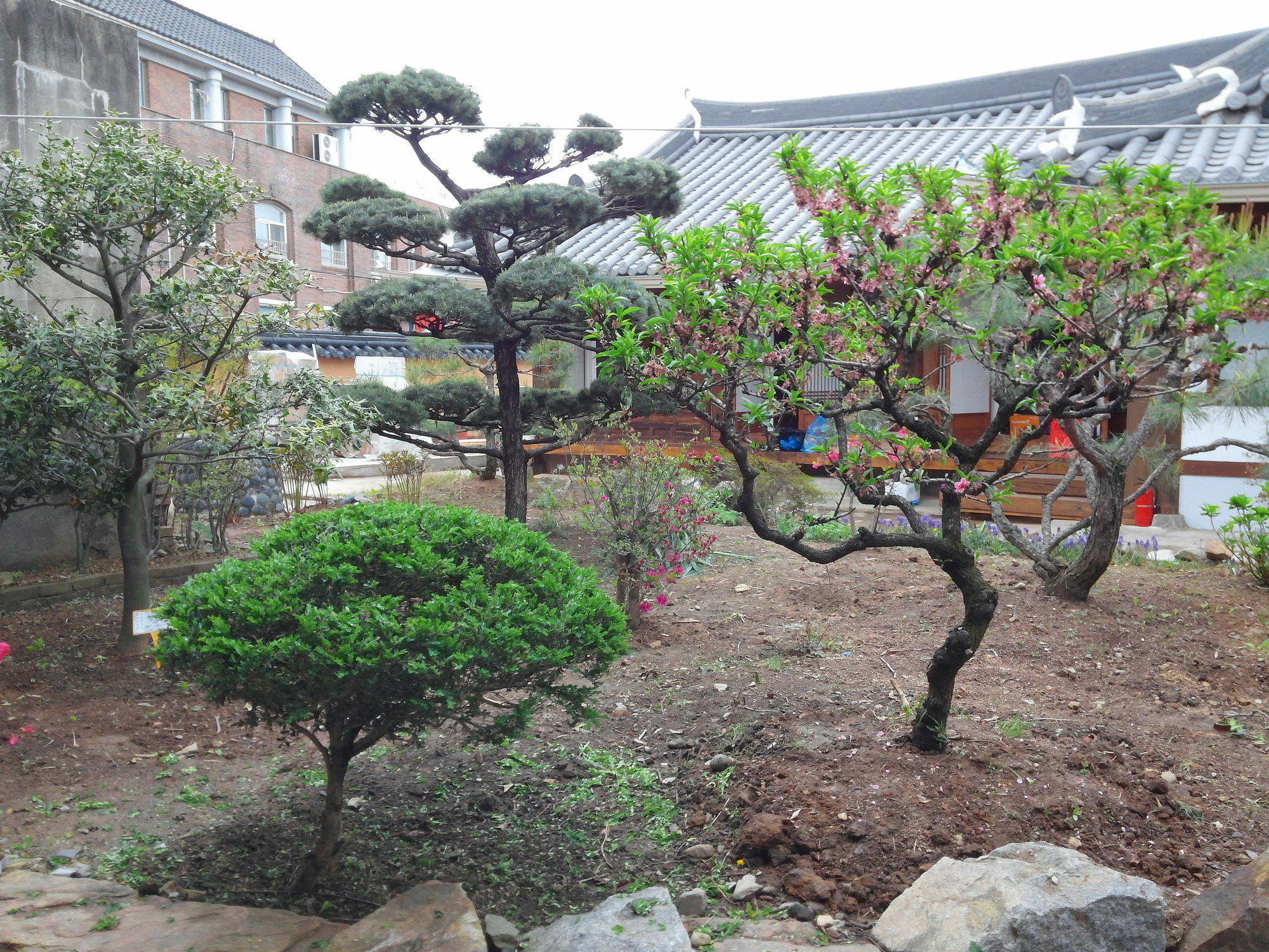 Sodamwon 全州市 外观 照片