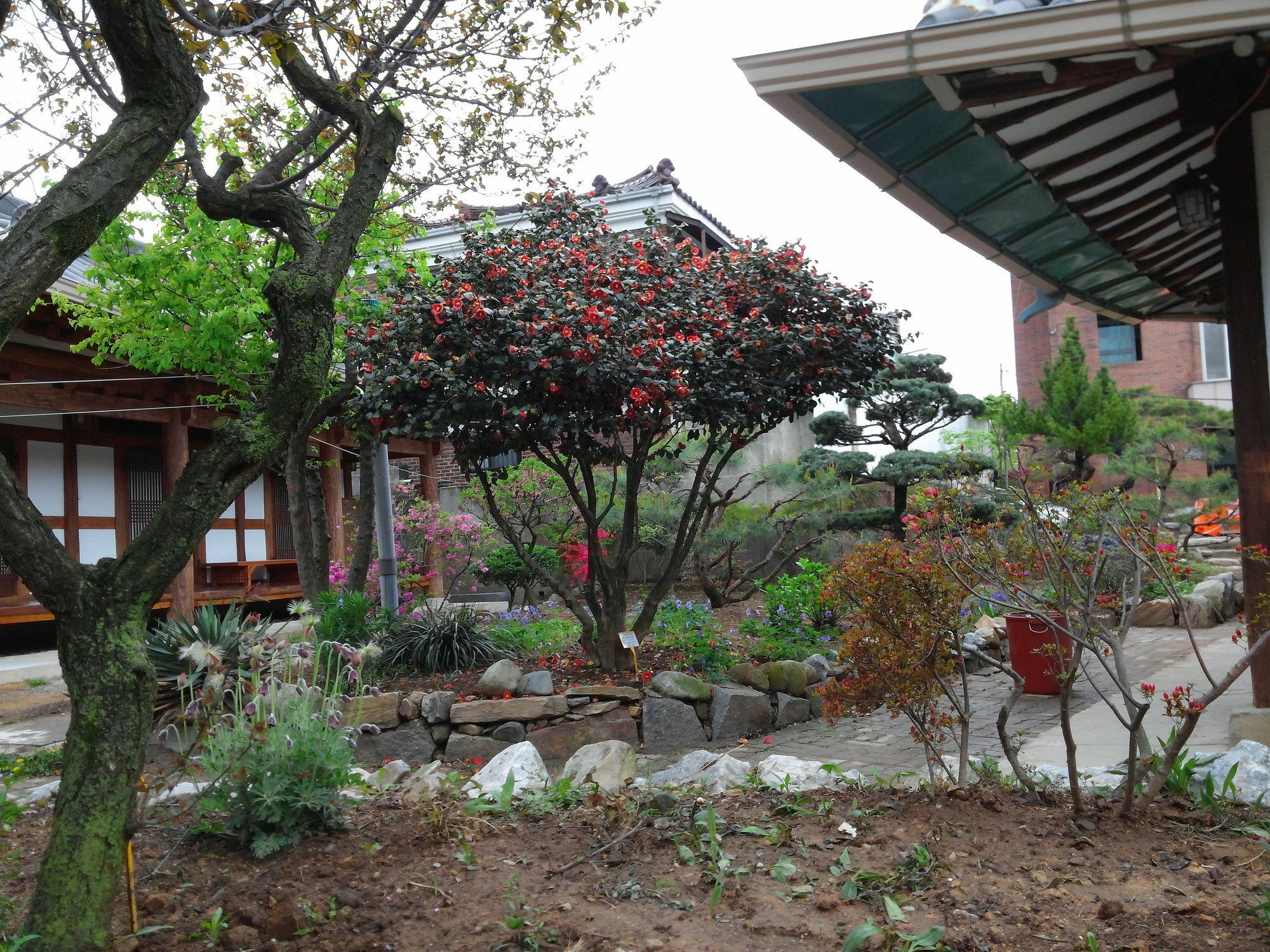 Sodamwon 全州市 外观 照片