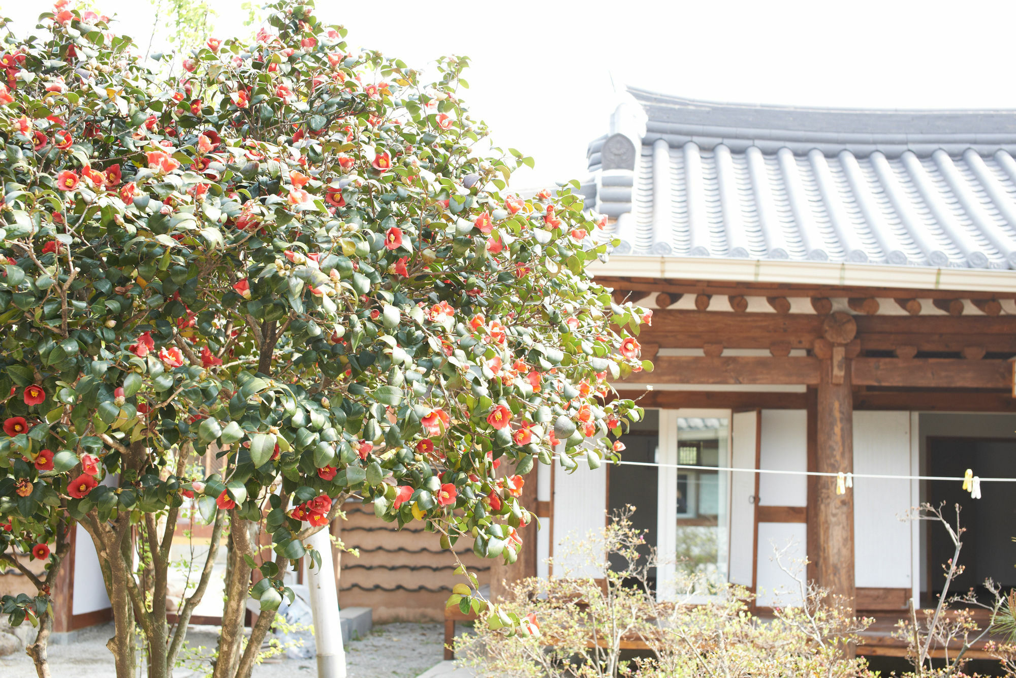 Sodamwon 全州市 外观 照片