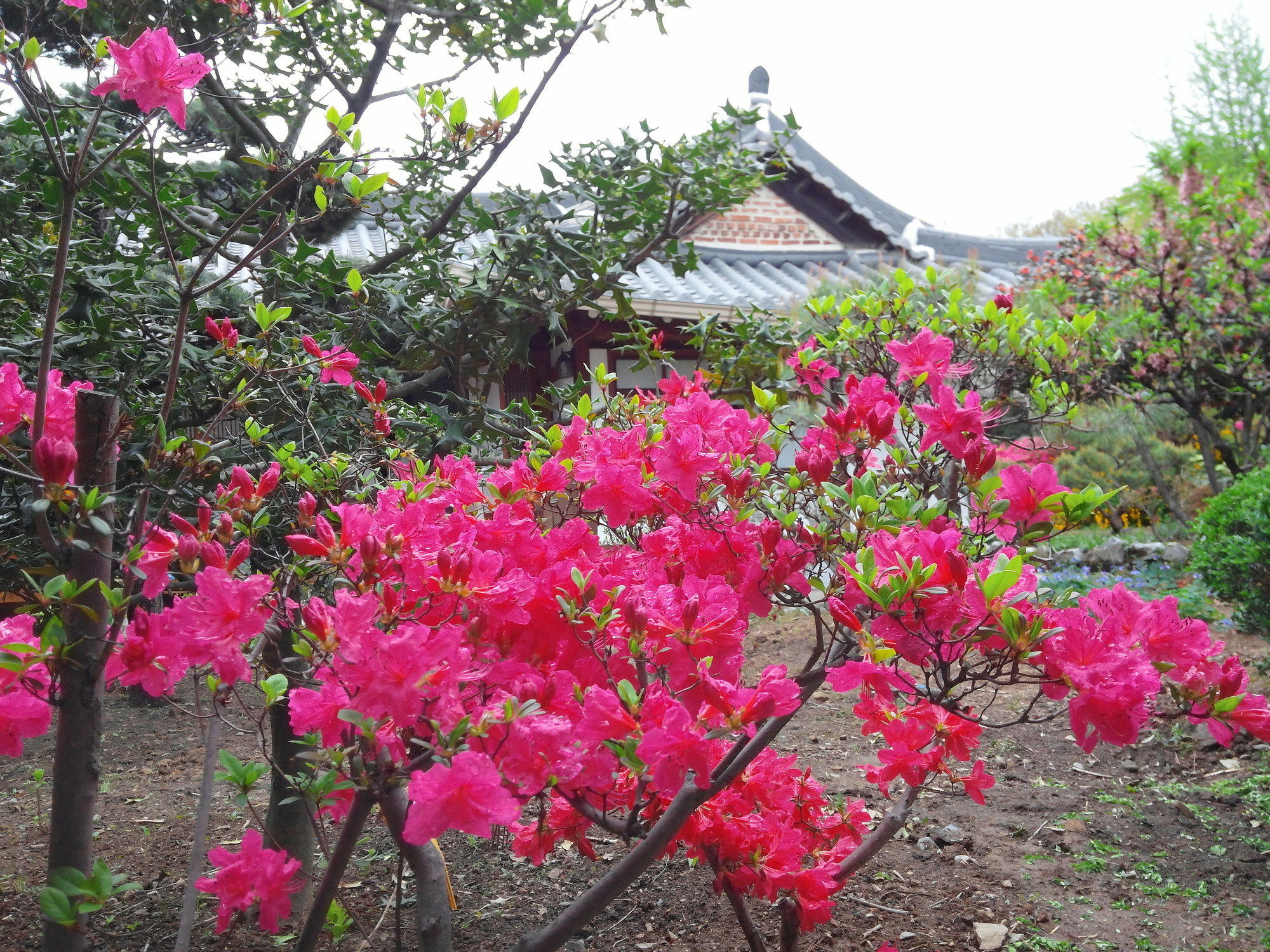 Sodamwon 全州市 外观 照片